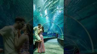 Dubai Aquarium  & Underwater Zoo🐟🐠😍 #dubai #dubaiaquarium #dubaimall #travel #music #shorts