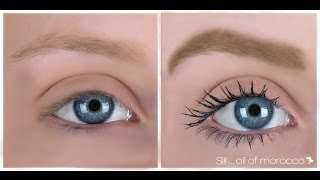 Makeup Tutorial using Silk Oil of Morrocco's Fibre Brow Enhancer