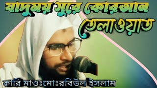 Quran heart touching telauat beautiful voice, যাদুময় সূরে কোরআন তেলাওয়াত.. kari Robiul islam zihad