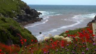 Óró, Sé do Bheatha 'Bhaile - Paul Brady