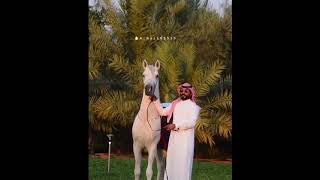 خيول عربية اصيلة 🔥🥺🐎