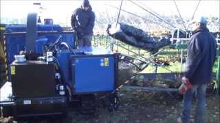 Bio Chopper Compact schredding strawberries on coir and raspberries on a farm in the U.K.