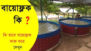 বায়োফ্লক কি | বায়োফ্লক কিভাবে তৈরি করা হয় | what is biofloc technology