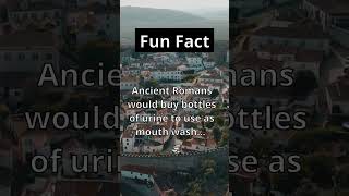 Fun Fact: 🏛️🥃 They did what?!?? #shorts #facts #funny #viral #rome