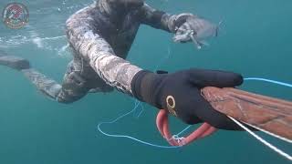 Kasım 2022 İstanbul karışık zıpkın la balık avı Spearfishing in the Sea of Marmara