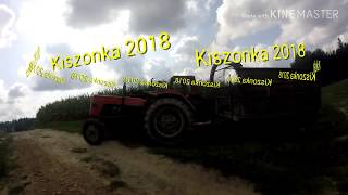 Wspomnienia z kukurydzy 2018