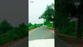 Amazing nature of Indian Village Road