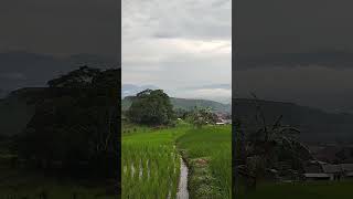 Pemandangan indah dari ketinggian cimanggung sumedang jawa barat!