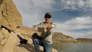 Trout Fishing Utah