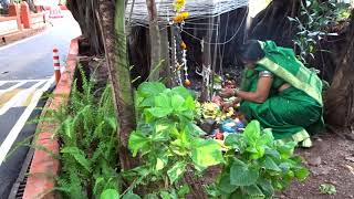 Vat Purnima Celebration at Kaivalyadham , Lonavala