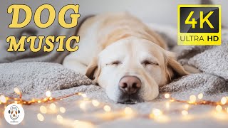 Calming Music for Dogs: Relaxation, Sleep Aid, and Stress Relief | Soothing Dogs Music Therapy