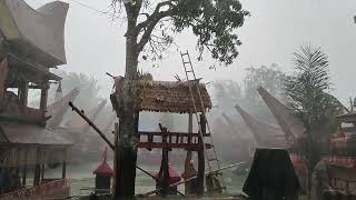 LUKA Datas Duka, Hujan Deras di RITUAL Pemakaman Suku Toraja.