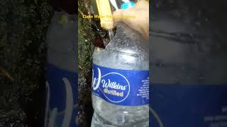 Let's get clean water from the spring👍only here in the Philippines🇵🇭#shortvideo#falls #spring