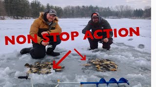 Ice Fishing Bluegill February 3rd, HUGE SUCCESS