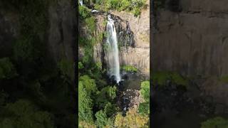 Dagg Falls - Australia #roadtrip #morarfora #australia #queensland #shortsvideo #nature #waterfall