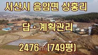 딸기207]충남 서산시 음암면 상홍리 전수지인근  답 749평 매매.딸기공인중개사 041.662.0880