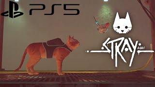 Stray PS5 Gameplay - Rooftops