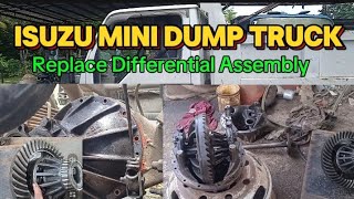 How to replace Differential Assembly (ISUZU MINI DUMP TRUCK)