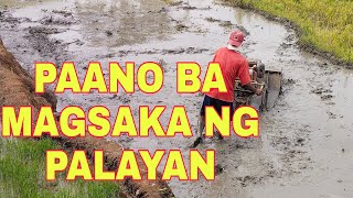 PAANO BA MAGSAKA SA PALAYAN