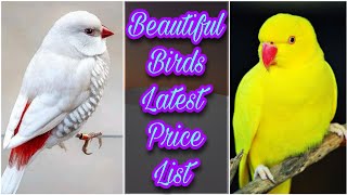 Birds latest price update | Birds Business Pakistan | EP 29