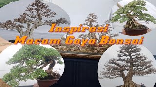 Pamnas bonsai BLORA agustus 2024 PPBI | kelas madya