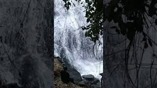 Forever young #shorts #waterfall #nature #airterjun #curugsodong #curugcikanteh #ciletuhgeopark