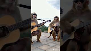 Monkey playing guitar - journey to the west ost #guitar #blackmythwukonggame #journeytothewest