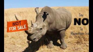 Rhinos Horns Are MEANT For Rhinoceros~BAN RHINOS HORNS TRADE