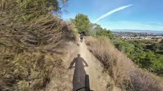 NEW BIKE DAY RIDE! 2024 YT Decoy MX @ Waterdog trail, belmont CA