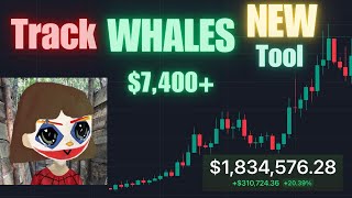 How To TRACK WHALE Activity on Solana Memecoins (Full 50x Tutorial)