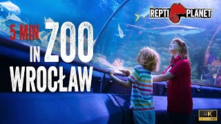 ZOO Wrocław with REPTI PLANET (1.)