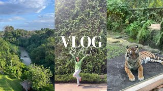 BALI Vlog | Sthala Ubud, Bali Zoo, Bebek Tepi Sawah