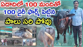 75% సక్సెస్ Achieving 75% Success in Dairy Farming @MalleshAdla