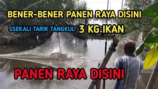 TANGKUL IKAN DI SPOT PALING JITU || SUDAH PASTI PANEN || BRANJANG IKAN || Nets fishing