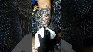 OWL TATTOO  #damasotattoo