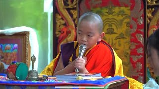 His Eminence Vairochana Rinpoche bestowing his first Dharma talk during his visit to Vietnam