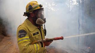 Mt. Browne fire, Boambee State Forest, 8 Dec 2019