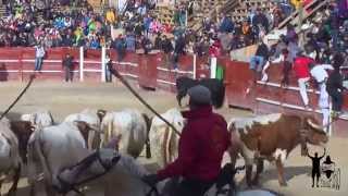 Excursión Yo Taurino a Ciudad Rodrigo 2015. Parte 1 de  3