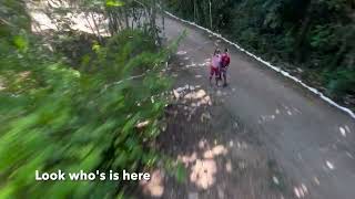 Belize   Zipline