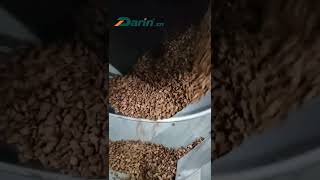 Dog Food Twin Screw Extrusion Machine Runs in Russia/Kibble Food Dog Food Extruder/Dog Feed Maker