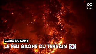 Des images de drone montrent le feu de forêt en Corée du Sud