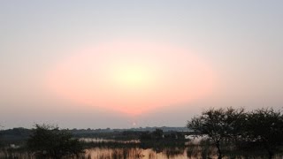 Khijadiya bird sanctuary live