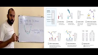 #COVID-19Testing# Antibody Testing# Antigen Testing#Science of #AntibodyTesting Immunochromatography