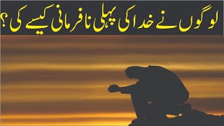 In this case, man has disobeyed Allah | farman imam ali as | mujahid tv urdu