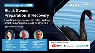 Webinar Trailer: Black Swans Preparations and Recovery