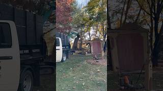 Demolishing A Shed With My Excavator. #komatsu #construction #demolition #heavyequipment #landscape