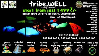 Night camping Time lapse video // barnavapara wildlife forest // unseen chhattisgarh project