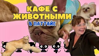 КОНТАКТНОЕ КАФЕ С ЖИВОТНЫМИ В ПАТТАЙЕ