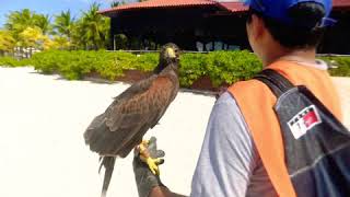 Day 4 (& nite)Dec. 2018Cozumel with Aldora