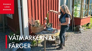 Våtmarkernas färger